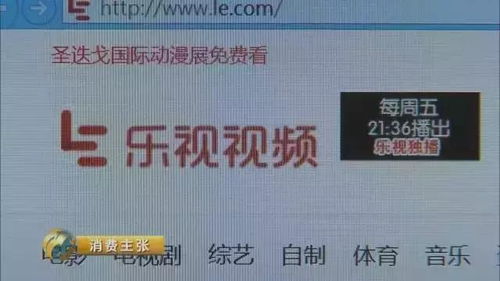如何联系影视会员总代理？电话号码是多少？