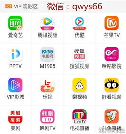哪里找靠谱的影视会员代理网址？