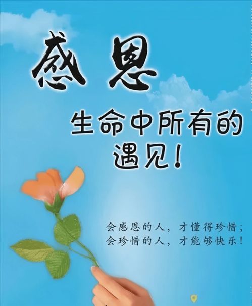 如何用创意朋友圈感谢粉丝心意？表达感激的经典语句与幽默说说