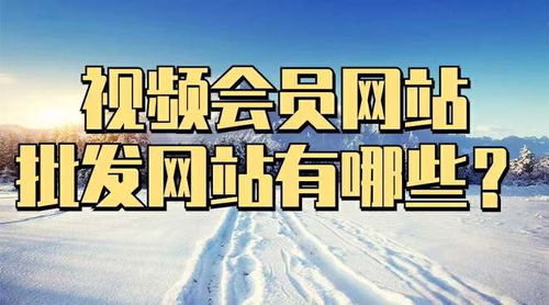 哪里能找到免费的影视会员批发网址大全？