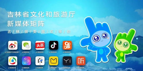 哪里能找到球球刷粉丝与礼物最实惠的网站？球球粉丝业务亮点抢先看！