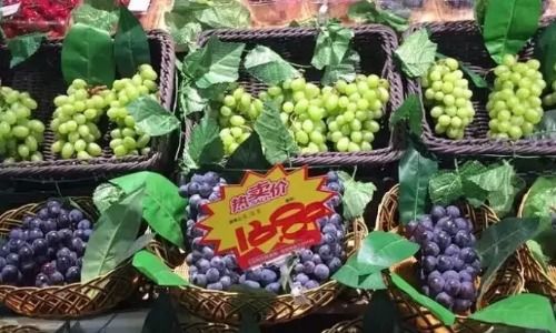 在西藏，哪些水果热销且利润丰厚？