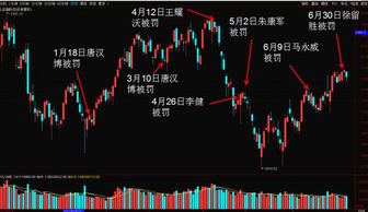 游资与散户携手掘金，究竟依赖何种盈利秘诀？