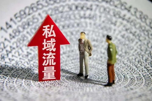 私域流量爆发，副业如何借势腾飞？