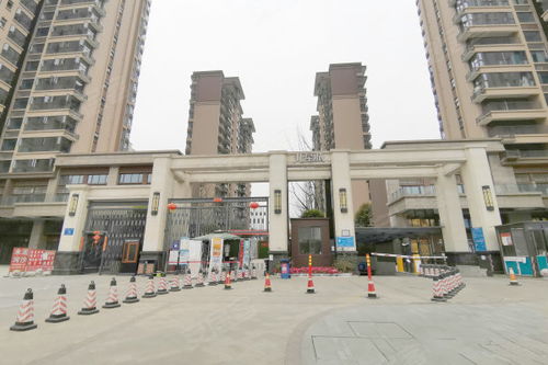 星城实验小学教学质量如何？知乎上的评价可信吗？