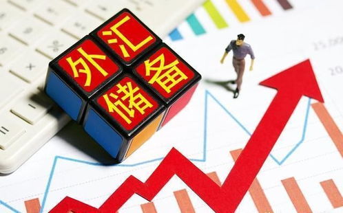 大专生在校如何实现经济独立？赚钱途径有哪些？