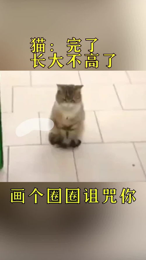 悬崖猫兼职真的存在吗？这份工作背后隐藏了什么？