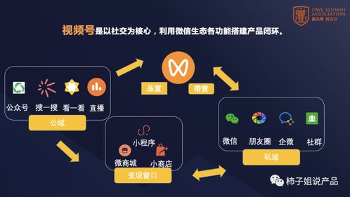 视频带货如何高效引流变现，实现流量赚钱秘诀？