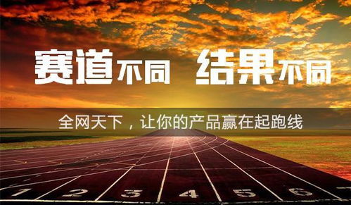 如何高效进行服装批发与品牌推广？市场突破的策略有哪些？
