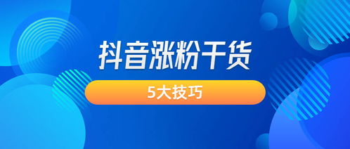 寻找稳定又实惠的抖音粉丝卡盟？哪个平台提供3元一万的粉丝服务？