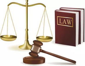 律师如何通过平台实现高收入？你了解这些途径吗？