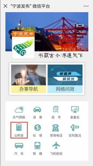 宁波求职网下载地址怎么找？快速查询指南在此！