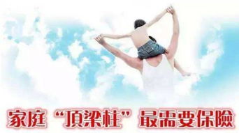 丈母娘如何成为家庭经济支柱的记录片？