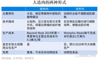 制作人造肉能否成为致富新途径？一部探讨未来的小说
