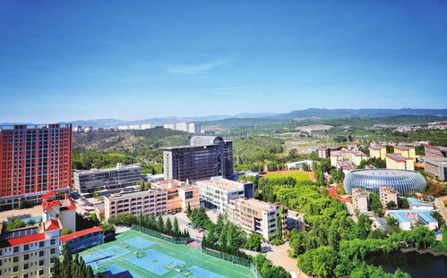 大学里哪些职业最具“吸金”潜力？你真的知道吗？