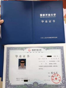 如何准确用英文表达和书写“大专学历”？专业术语是哪些？