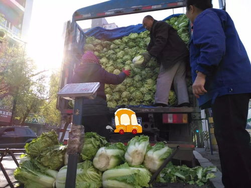 开小轿车下乡卖菜，农民的菜能赚大钱吗？