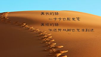 有没有值得投资的高回报赚钱项目？