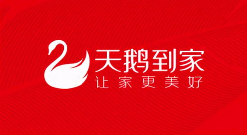 天鹅到家兼职家政靠谱吗？真实体验分享带你了解内幕