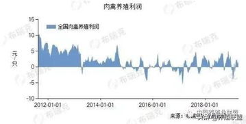 养蛋鸡与养猪，哪个更赚钱？经济效益对比分析