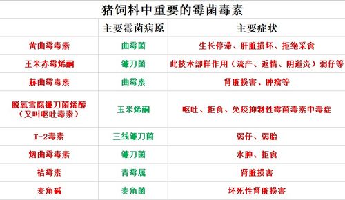 如何通过杀鱼实现盈利？你真的了解这门生意的门道吗？