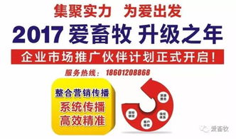 养猪也能分红赚钱？你不知道的养殖新模式！