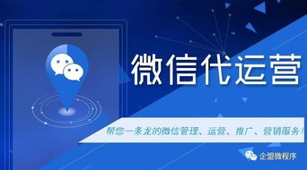 哪个平台代运营最能帮你实现高收益？