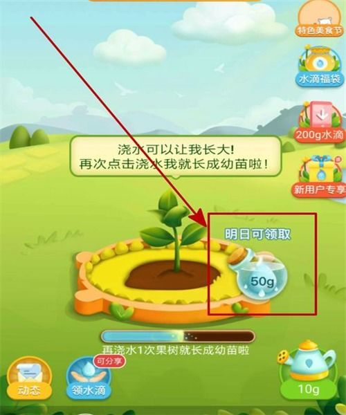 如何在多多果园获得好友助力？解锁高效互助技巧！