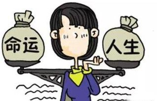 哪些八字特征预示着适合开展副业？