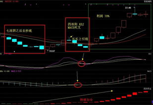 精通炒股技术就一定能稳赚不赔吗？技术与收益的真相探讨