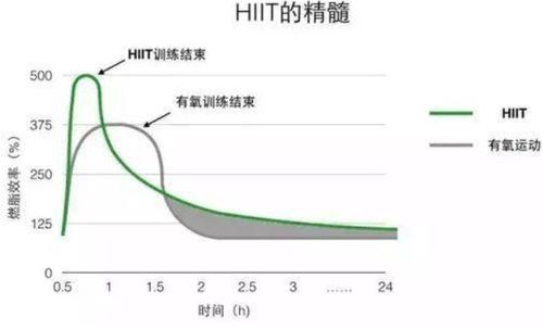 燃脂果定价策略及销售途径探究，探寻高效推广燃脂果的技巧。