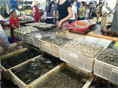 台州海滨海鲜摊贩盈利几何？海边售卖海鲜真能赚大钱吗？