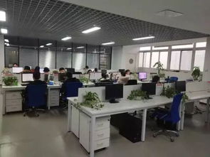 昌平润德究竟是做什么的？这家公司具体业务范围是什么？
