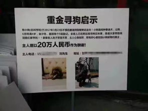 大连校园兼职靠谱吗？大学生如何找到优质兼职机会？