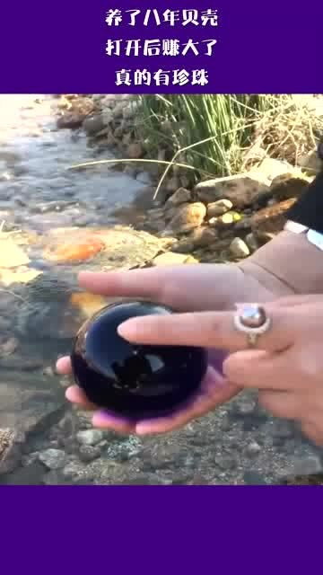 养珠真的能赚钱吗？揭开珍珠养殖的盈利真相