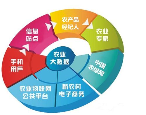 哪个农业项目最适合赚钱？探寻高收益农业项目名称