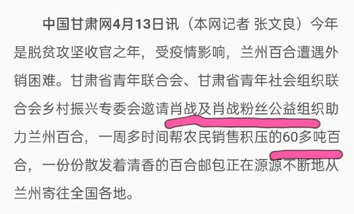 肖战粉丝投票实力惊人？百度刷票背后，粉丝力量能否助力播放量？