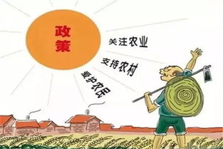 在农村唐口，养殖哪类项目最能带来丰厚收益？