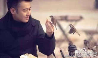 为何成熟男人纷纷投身赚钱大潮？