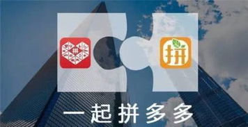 如何有效助力刀具品牌在拼多多平台脱颖而出？
