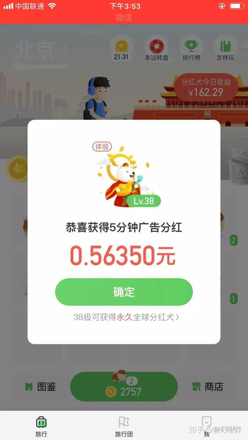 如何通过溜狗轻松赚钱？独家实用技巧视频详解