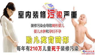 在上海，哪些除甲醛项目真的能赚钱？你知道吗？