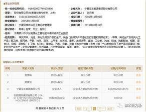 宝丰能源中签后，投资者能否实现盈利？