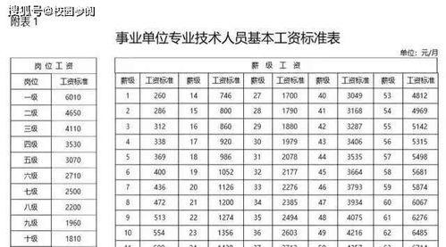 小学与高中教师薪资差异大吗？具体工资水平如何？
