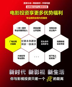 如何在服装领域选择高收益平台进行关注和投资？
