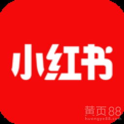 宝妈如何在小红书上实现赚钱之道？