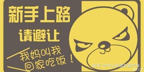如何找到高薪兼职手套工作？新手必看攻略！