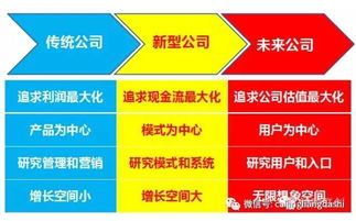 哪种公司类型盈利较低？创业者必看的选择指南