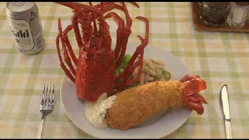 电影解说与美食领域，哪个更易实现财富增长？
