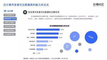 广告联盟中的个人开发者究竟指的是谁？他们的角色和作用是什么？